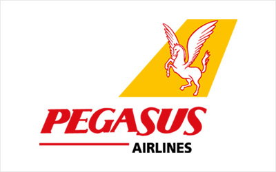 pegasus scarf, pegasus scarf, pegasus silk print, pegasus polyester print,